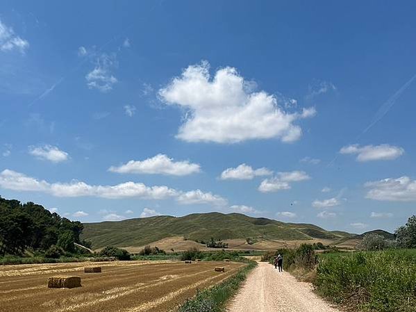 法國之路Day 6 邊喝紅酒邊走路-微醺去Los Arcos