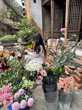 2024雲南自由行日記 D3 ｜大理｜去有風的地方｜有風小院