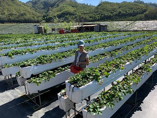 12-3夢之谷露營 馬拉邦山_210105_23