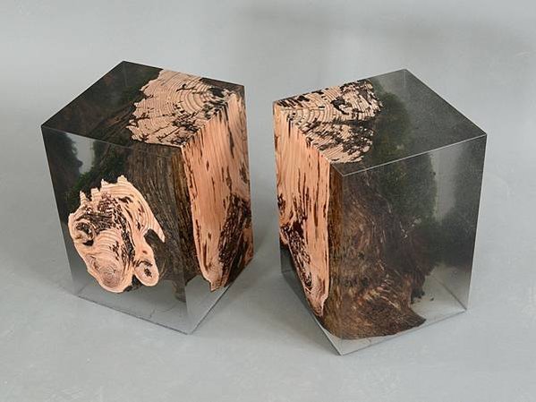 alcarol larch Stump_5