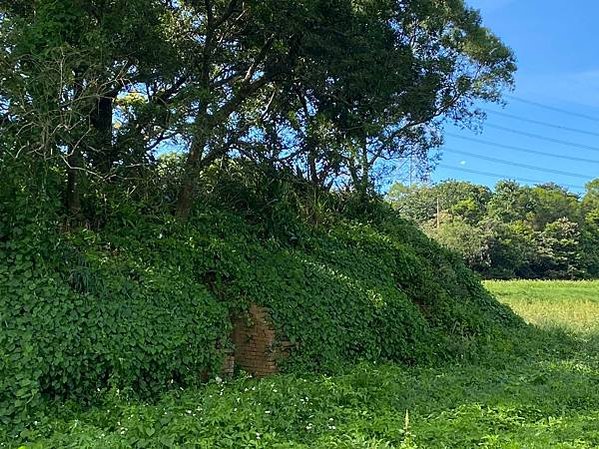 關西仁安磚窯廠-八卦窯-新竹縣關西鎮水母娘道路往龍潭渴望方向