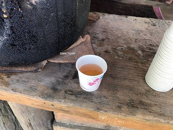 台東鸞山森林博物館--巒山部落-會走路的樹/生態廊道深度體驗