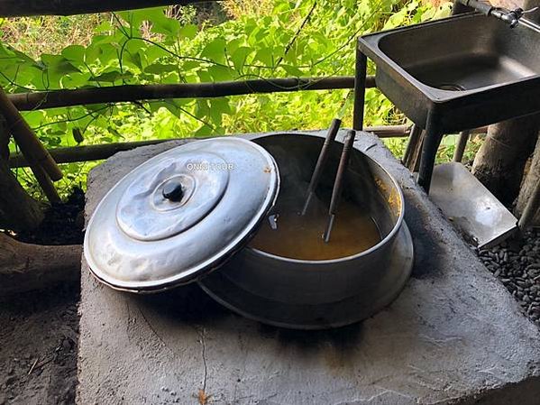 台東鸞山森林博物館--巒山部落-會走路的樹/生態廊道深度體驗