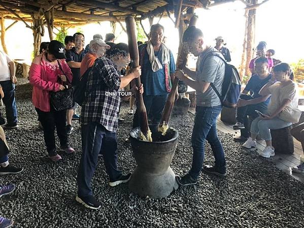 台東鸞山森林博物館--巒山部落-會走路的樹/生態廊道深度體驗