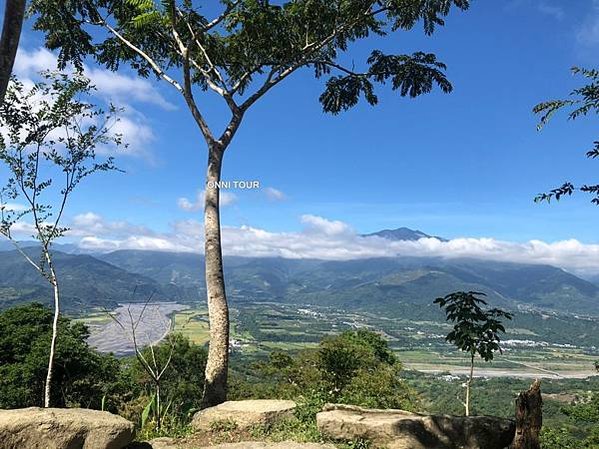 台東鸞山森林博物館--巒山部落-會走路的樹/生態廊道深度體驗