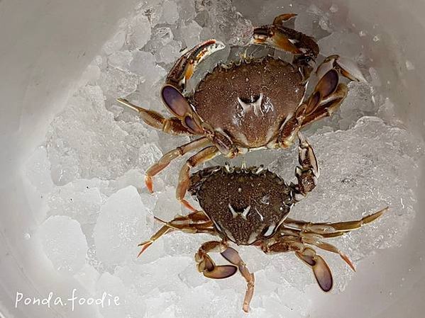 宜蘭美食|CP值超高海鮮炸物，讓你吮指留香「煎炸的魚 腳滑的