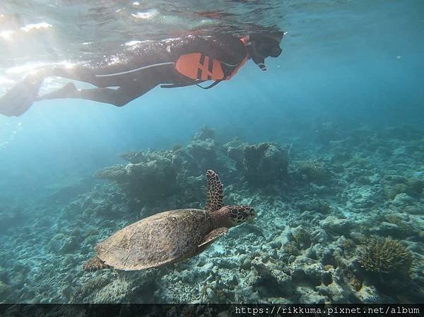 🇲🇻 馬爾地夫Maldives❣渡假日記 (上)