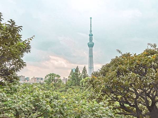 東京。淺草必去景點：雷門、淺草寺、待乳山聖天、今戶神社