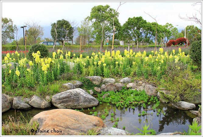池上鄉農會四季花海27.jpg