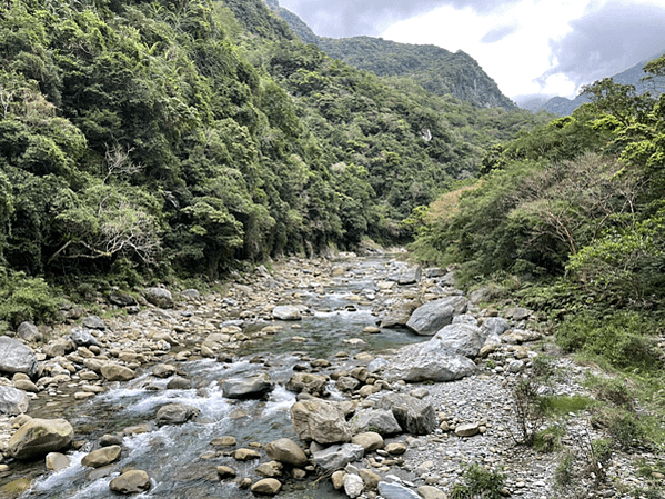 【花蓮景點|太魯閣】砂卡礑步道 太魯閣國家公園 老少咸宜的登