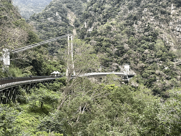 【花蓮景點|太魯閣】布洛灣山月吊橋 免門票 免預約 超熱門太