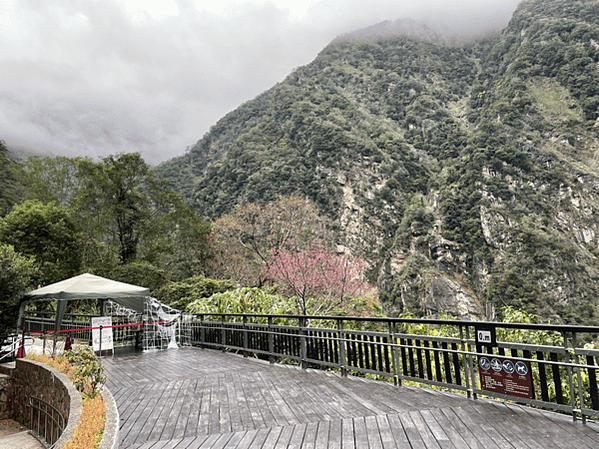 【花蓮景點|太魯閣】布洛灣山月吊橋 免門票 免預約 超熱門太