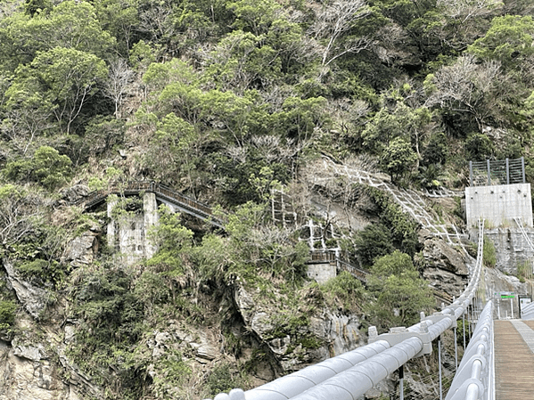 【花蓮景點|太魯閣】布洛灣山月吊橋 免門票 免預約 超熱門太