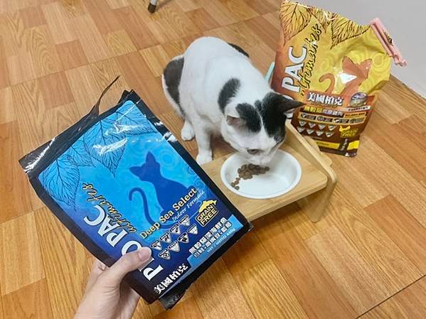 美國柏克 PRO PAC 無穀貓飼料試吃心得😽