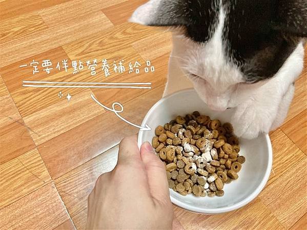 🐱 Petzoo 囍碗 寵物主食罐推薦🐶