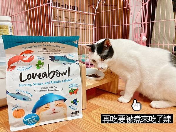 🐱 Petzoo 囍碗 寵物主食罐推薦🐶