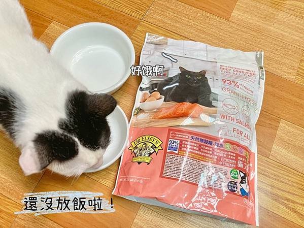 貓咪無穀飼料推薦Dr. Elsey&apos;s 貓艾歐♥