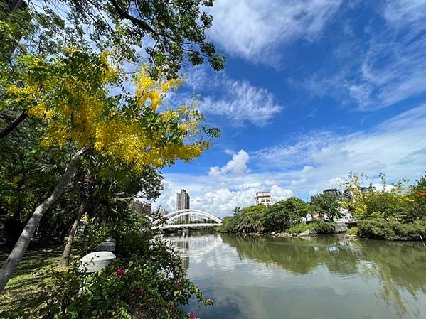 ​​​​​​​🎉🎉賀成交🎉🎉🔸美術館中都濕地【波堤】高樓採光