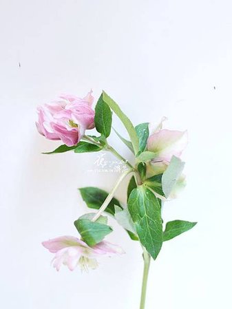 IMG_7167.JPG