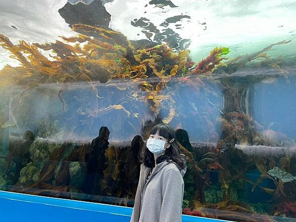 桃園 Xpark水族館 桃園室內景點 親子行程、情侶約會行程