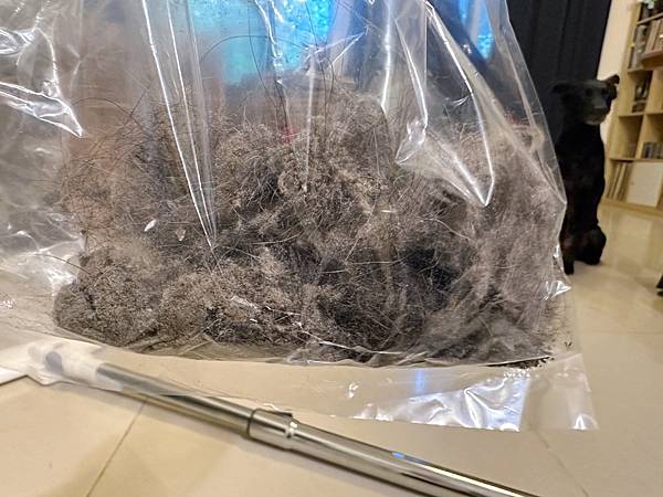 實測開箱📦寵物居家清潔【HERAN 禾聯家電】輕量化有線吸塵