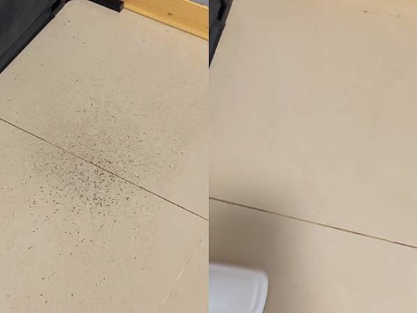 實測開箱📦寵物居家清潔【HERAN 禾聯家電】輕量化有線吸塵