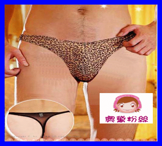 性感女丁字褲