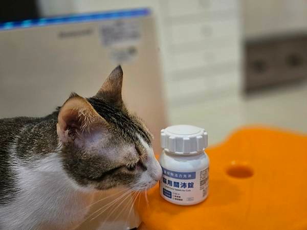 【好物分享】奧沛 OurPet貓用關沛錠，貓咪關節保健推薦，