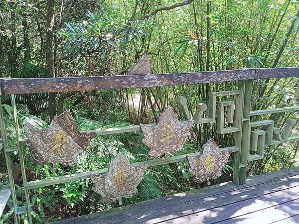 【雙北遊】台北親民步道推薦 士林區步道 小溪頭環狀步道/ 大