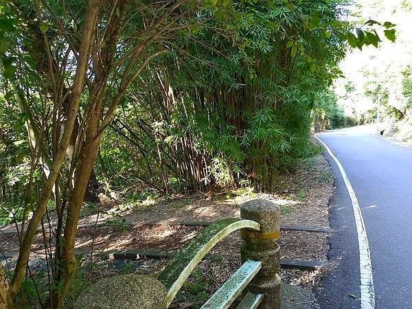 【雙北遊】台北親民步道推薦 士林區步道 小溪頭環狀步道/ 大