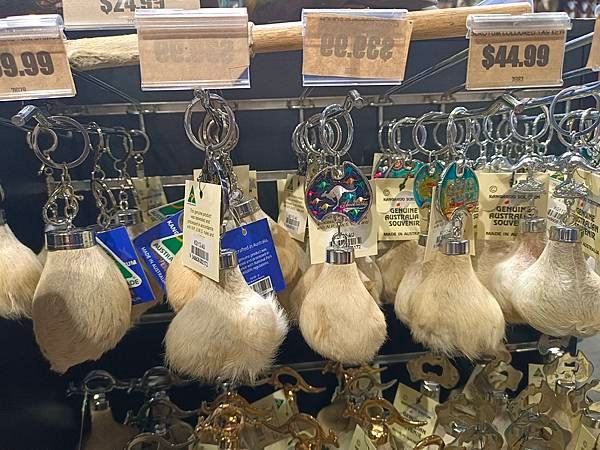 【澳洲遊】澳洲超市、藥妝店伴手禮和戰利品分享/ 澳洲買什麼？