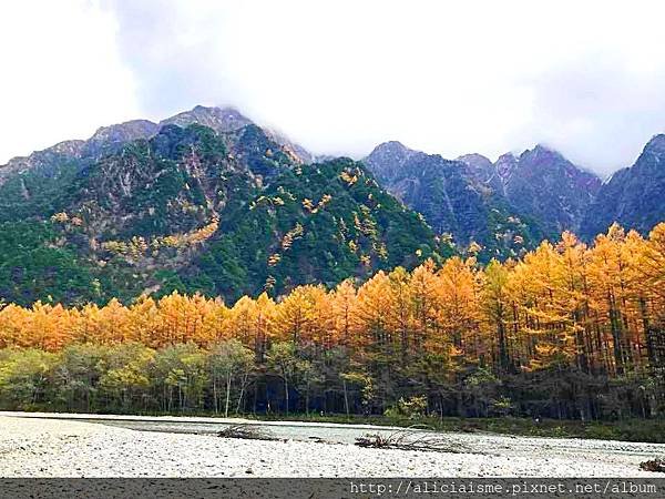 【長野縣】上高地《田代橋~河童橋～明神池》：人間仙境相遇的絕