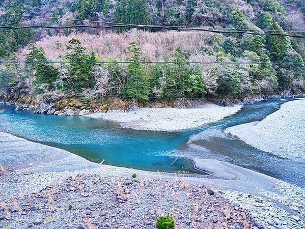 【靜岡縣 | 川根本町】搭乘大井川鐵道，體驗日本唯一亞伯式/