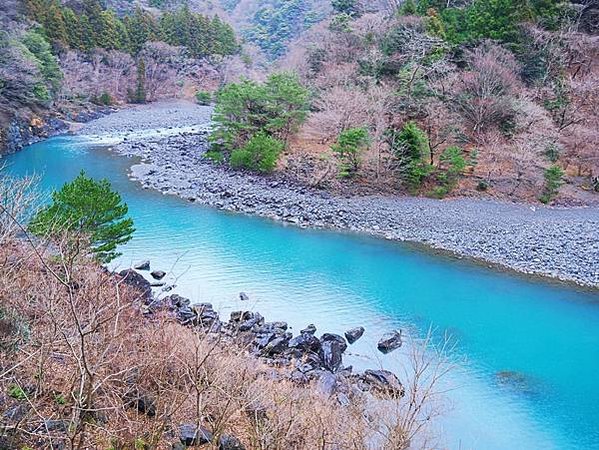 【靜岡縣 | 川根本町】搭乘大井川鐵道，體驗日本唯一亞伯式/