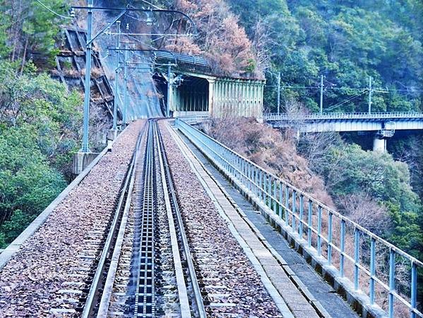 【靜岡縣 | 川根本町】搭乘大井川鐵道，體驗日本唯一亞伯式/