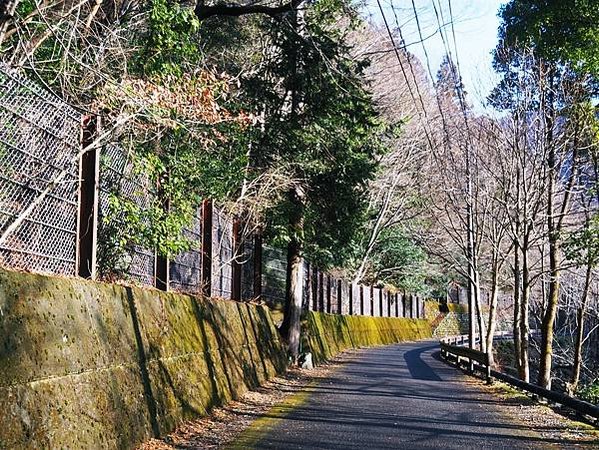 【靜岡縣 | 川根本町】搭乘大井川鐵道，體驗日本唯一亞伯式/