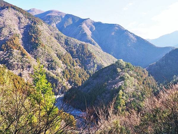 【靜岡縣 | 川根本町】搭乘大井川鐵道，體驗日本唯一亞伯式/