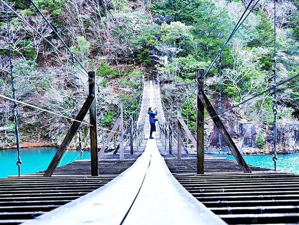 【靜岡縣 | 川根本町】搭乘大井川鐵道，體驗日本唯一亞伯式/