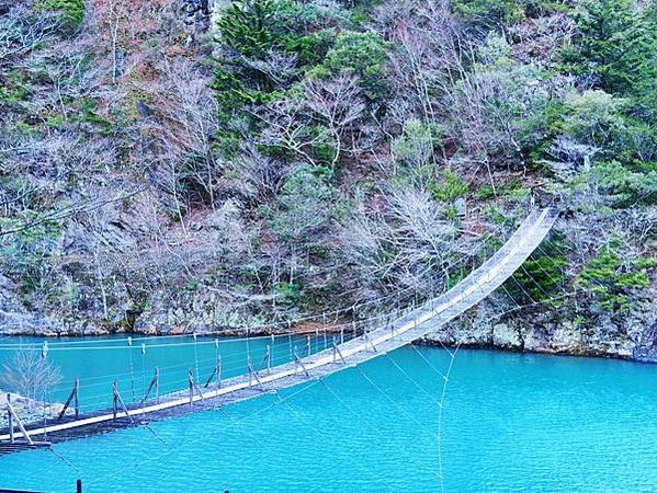 【靜岡縣 | 川根本町】搭乘大井川鐵道，體驗日本唯一亞伯式/