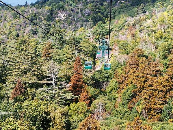 【廣島縣 | 宮島】搭乘宮島纜車，登獅子岩、彌山攻頂，360