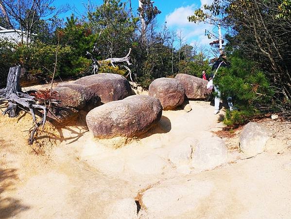 【廣島縣 | 宮島】搭乘宮島纜車，登獅子岩、彌山攻頂，360