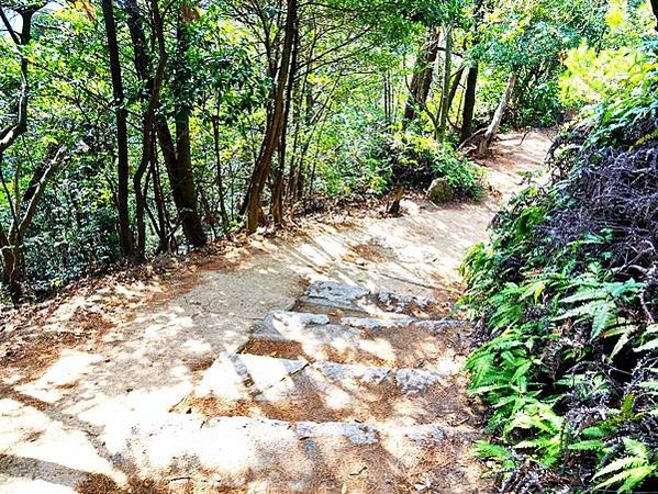 【廣島縣 | 宮島】搭乘宮島纜車，登獅子岩、彌山攻頂，360