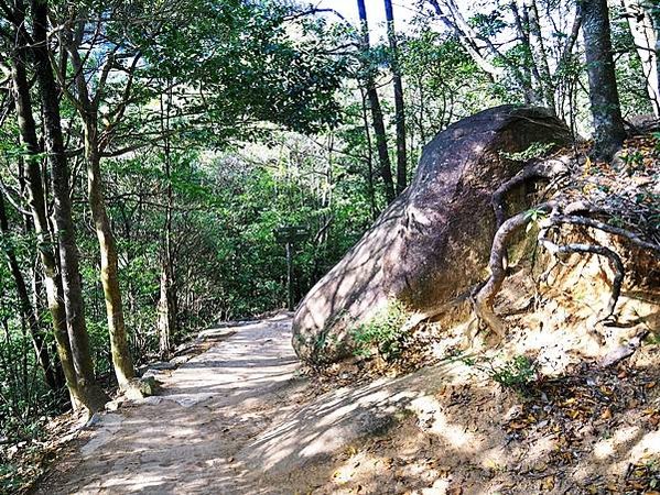 【廣島縣 | 宮島】搭乘宮島纜車，登獅子岩、彌山攻頂，360