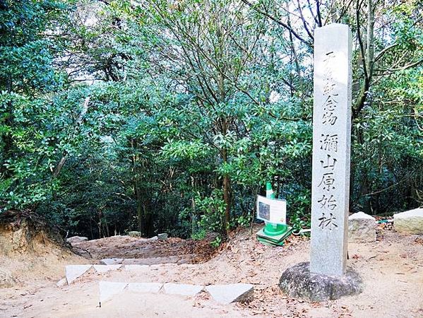 【廣島縣 | 宮島】搭乘宮島纜車，登獅子岩、彌山攻頂，360