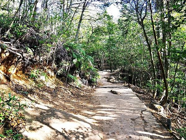 【廣島縣 | 宮島】搭乘宮島纜車，登獅子岩、彌山攻頂，360