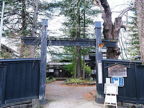 【秋田縣】（2024更新）角館武家屋敷、檜木內川河堤秘境：春