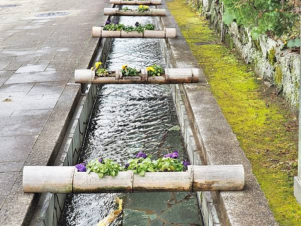 【愛媛縣｜居遊大洲市】居遊大洲市，入住古民宅，邂逅比東京愛情