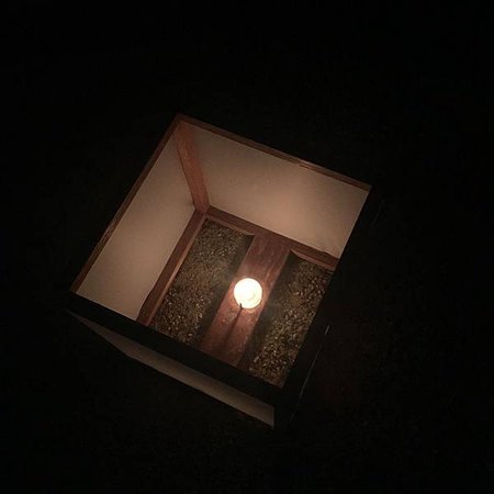 IMG_6831.JPG
