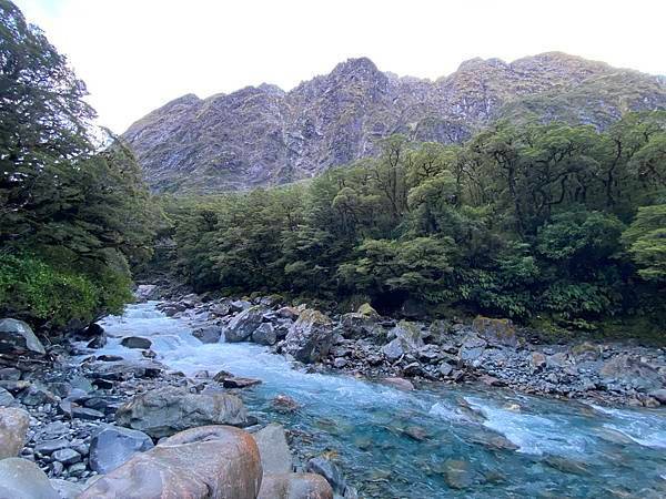 遊記 紐西蘭南島十四天自駕必玩攻略(下)：葡萄酒莊、米佛