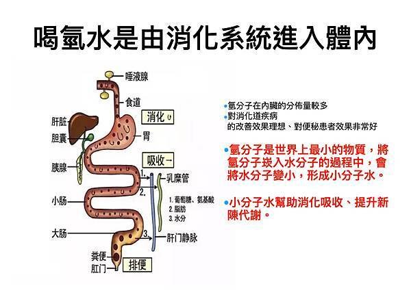 水與健康.024